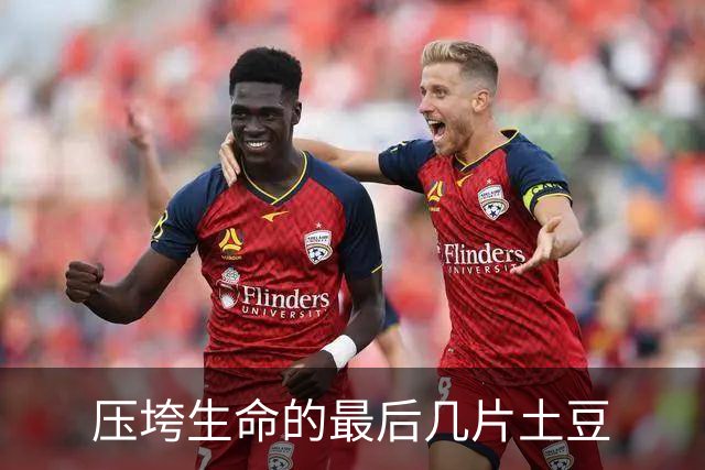 压垮生命的最后几片土豆